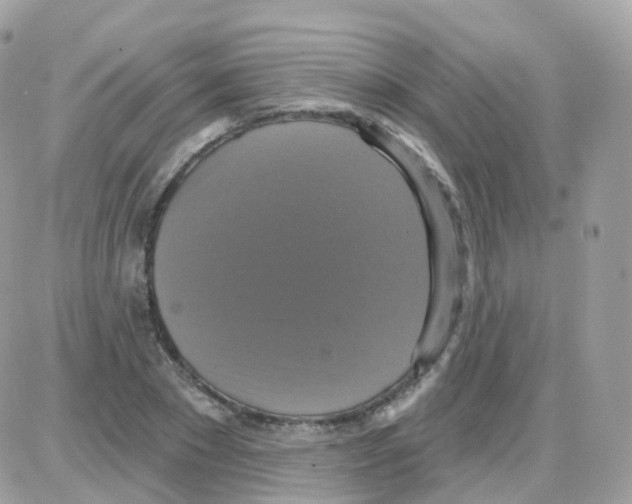 X0000087700881200706011742