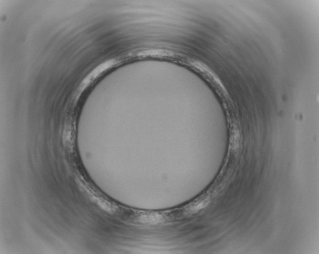 X0000087700882200706011742