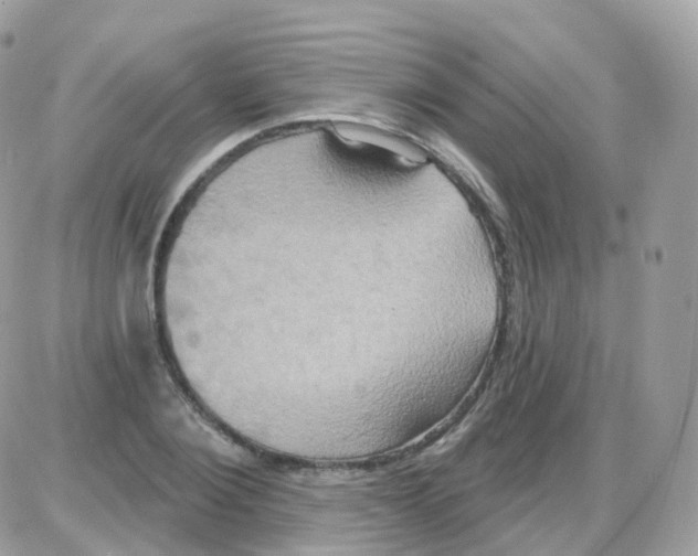 X0000087700884200706011742