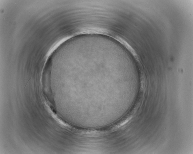 X0000087700885200706011742