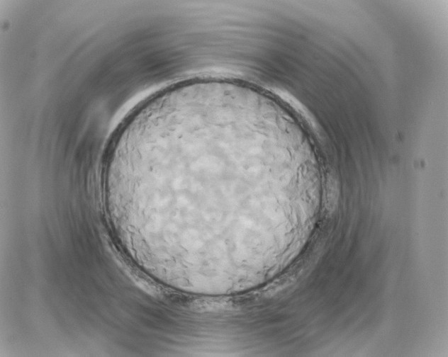 X0000087700886200706011742