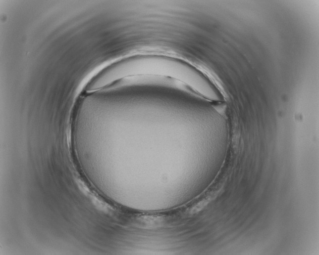 X0000087700888200706011742