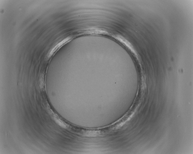 X0000087700889200706011742