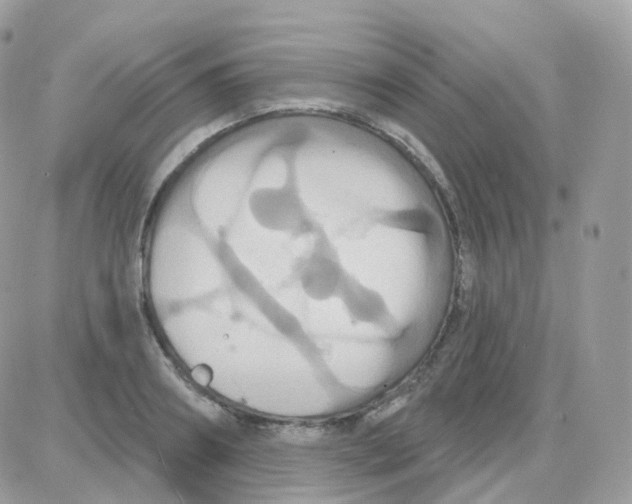 X0000087700890200706011742