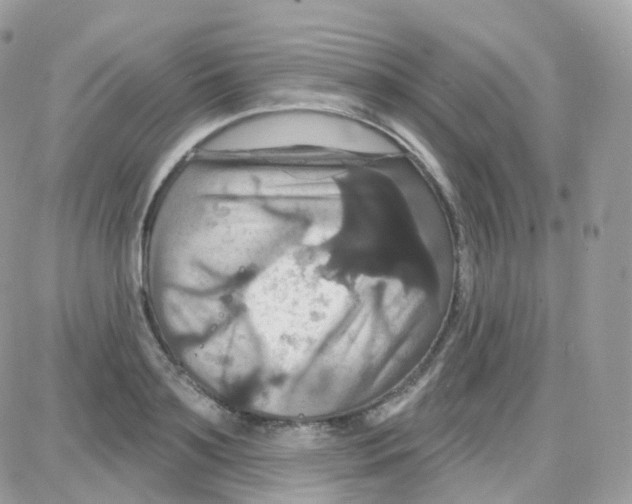 X0000087700891200706011742