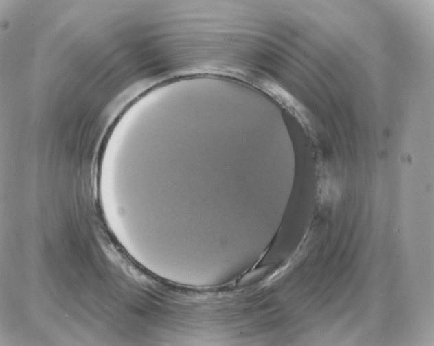 X0000087700892200706011742