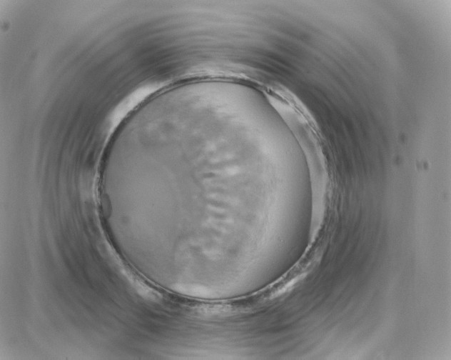 X0000087700893200706011742