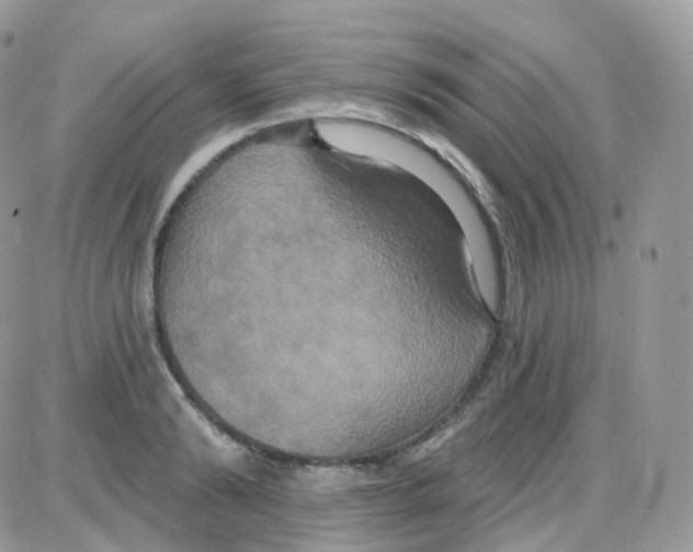 X0000087700894200706011742