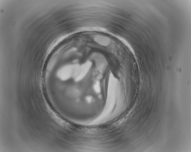 X0000087700895200706011742