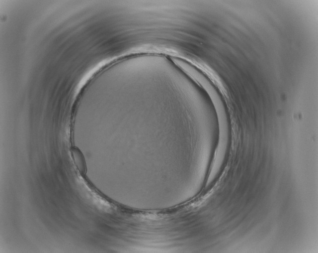 X0000087700896200706011742