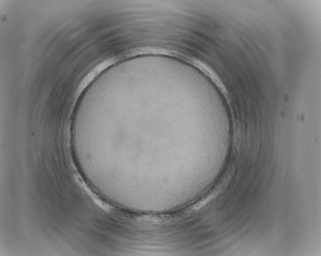 X0000087700898200706011742