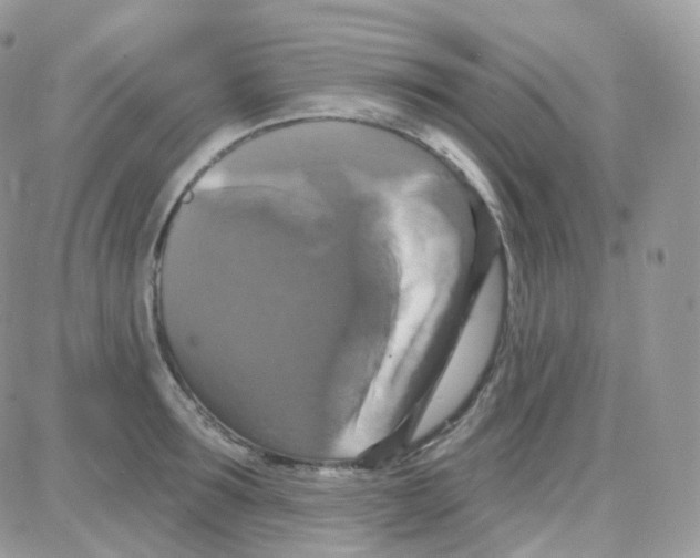 X0000087700899200706011742