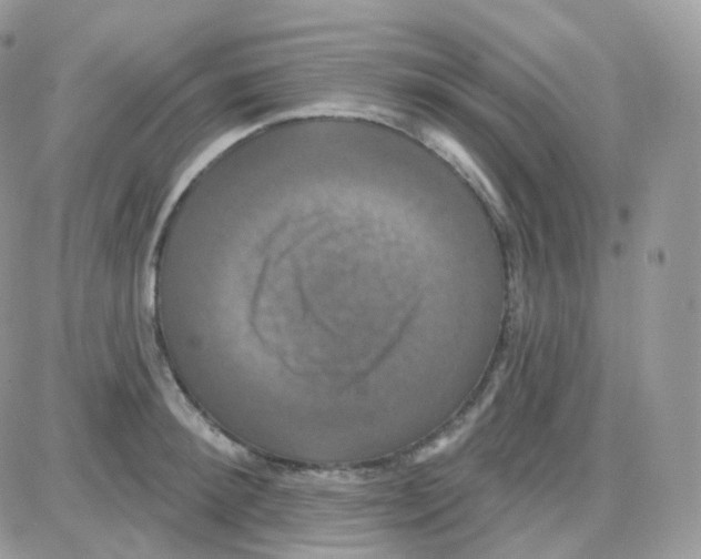 X0000087700900200706011742