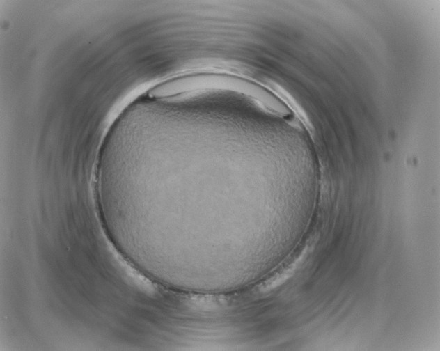 X0000087700901200706011742