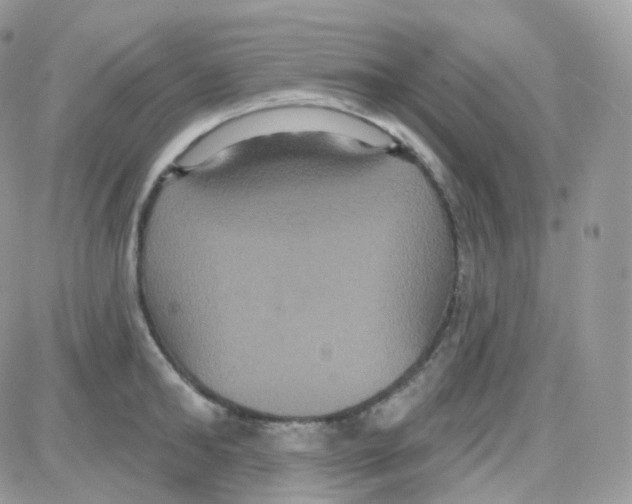 X0000087700902200706011742