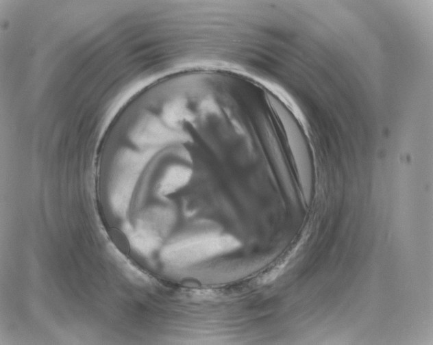 X0000087700903200706011742