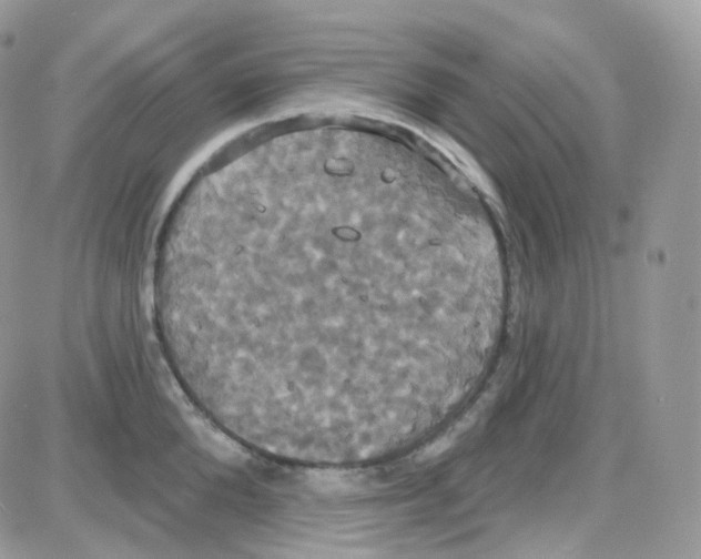 X0000087700904200706011742