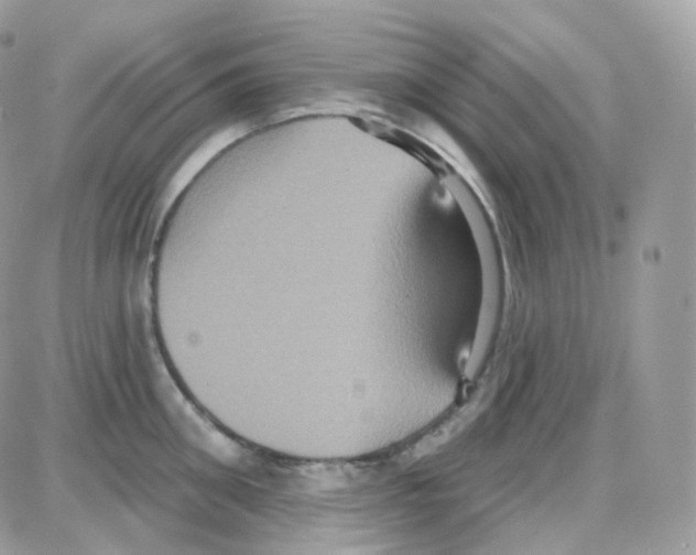 X0000087700906200706011742