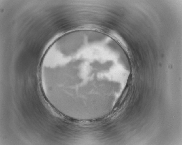 X0000087700907200706011741