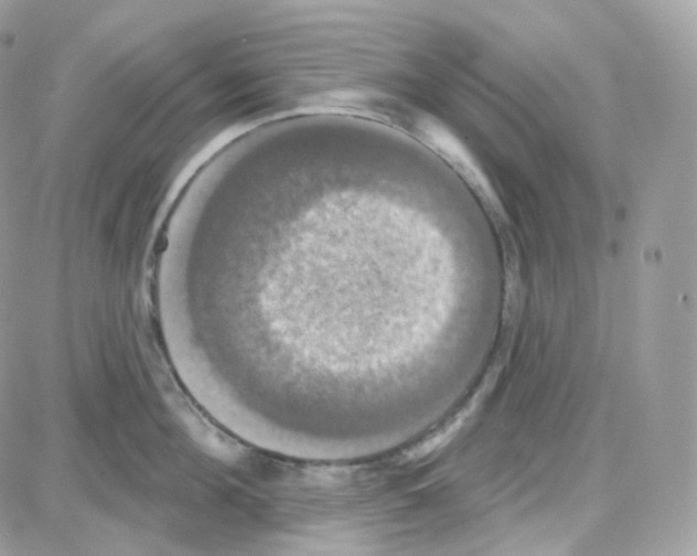 X0000087700908200706011741