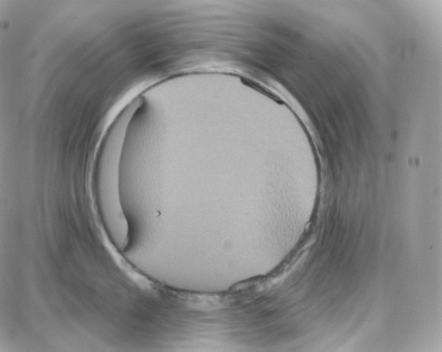 X0000087700909200706011741