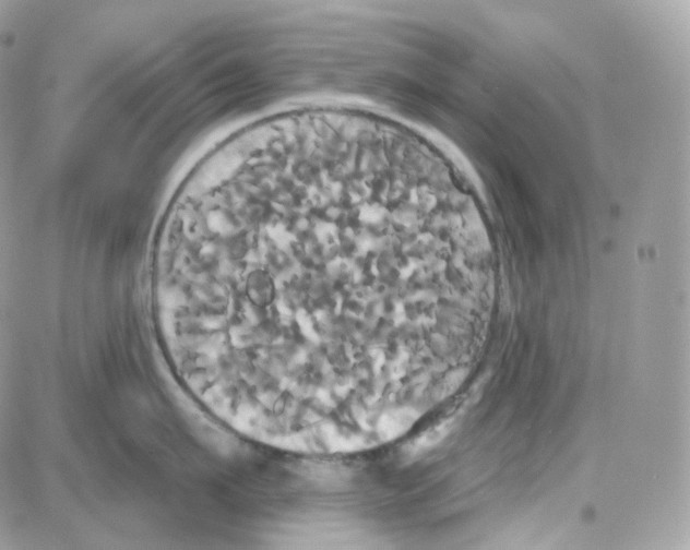 X0000087700911200706011741