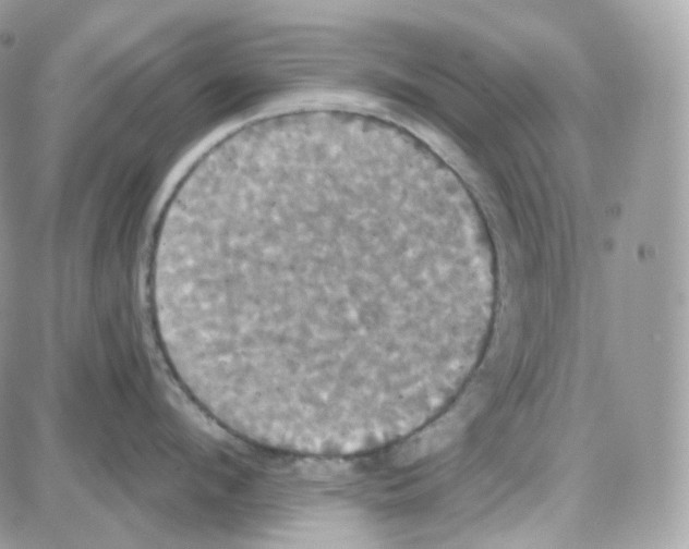 X0000087700912200706011741