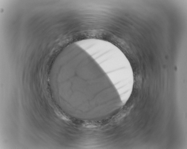 X0000087700913200706011741