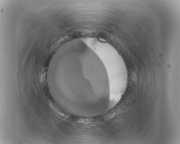 X0000087700914200706011741