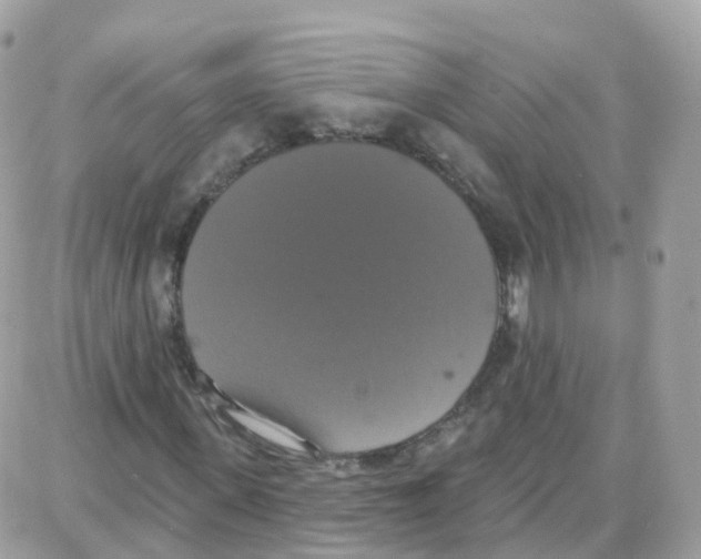 X0000087700915200706011741