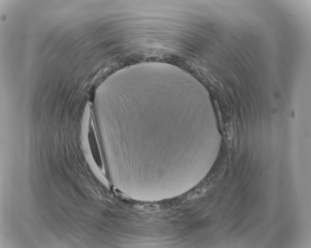 X0000087700916200706011741