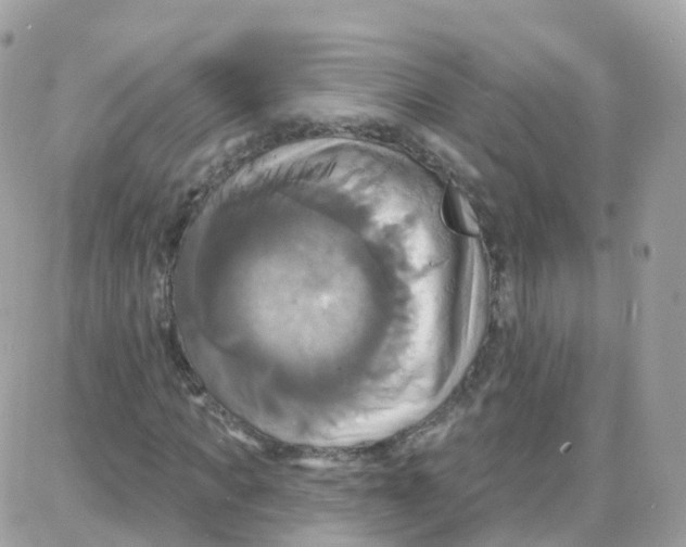 X0000087700917200706011741