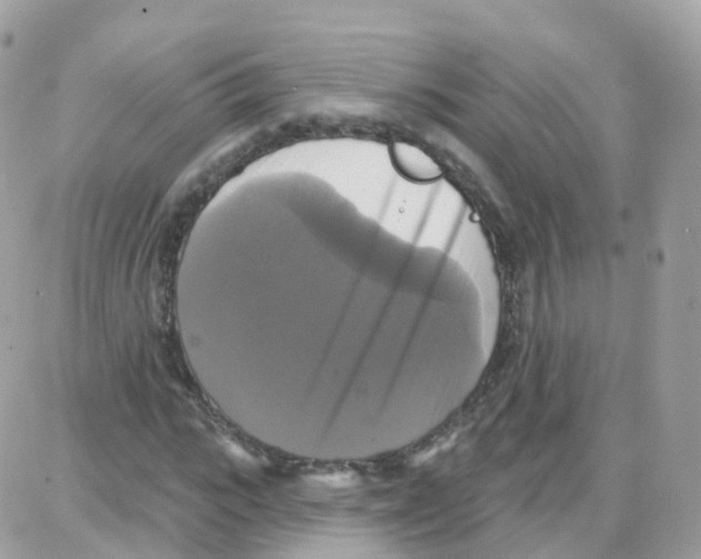 X0000087700919200706011741