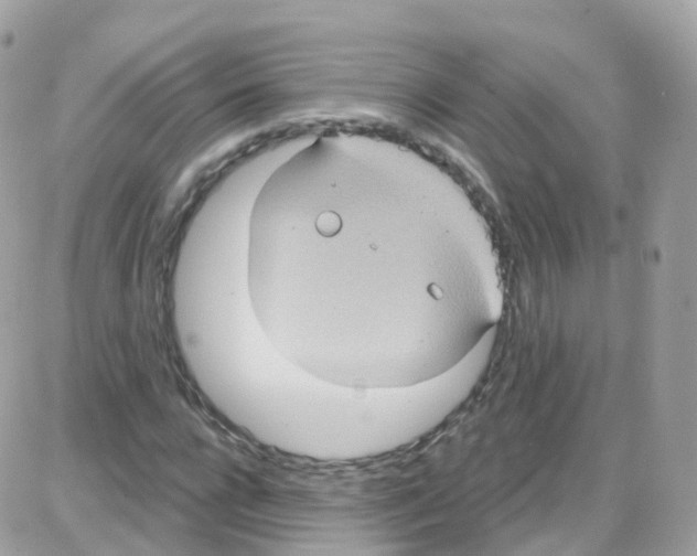 X0000087700920200706011741