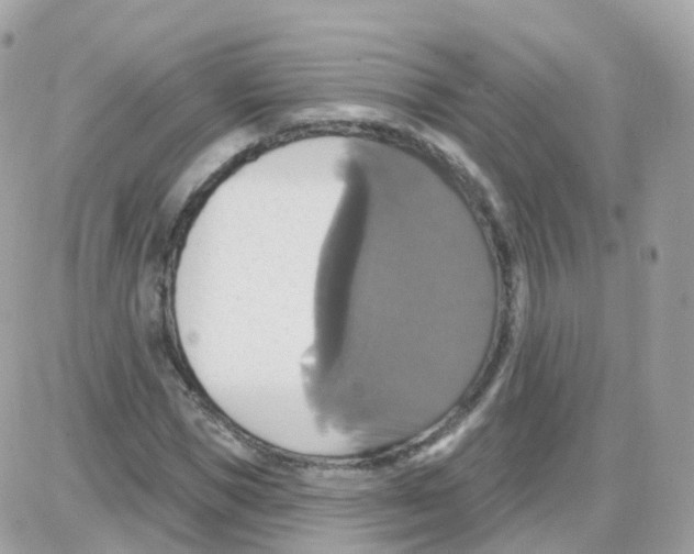 X0000087700921200706011741