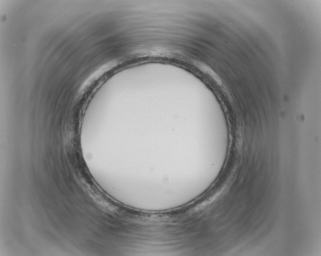 X0000087700922200706011741