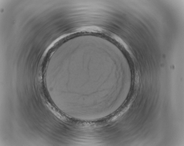 X0000087700923200706011741