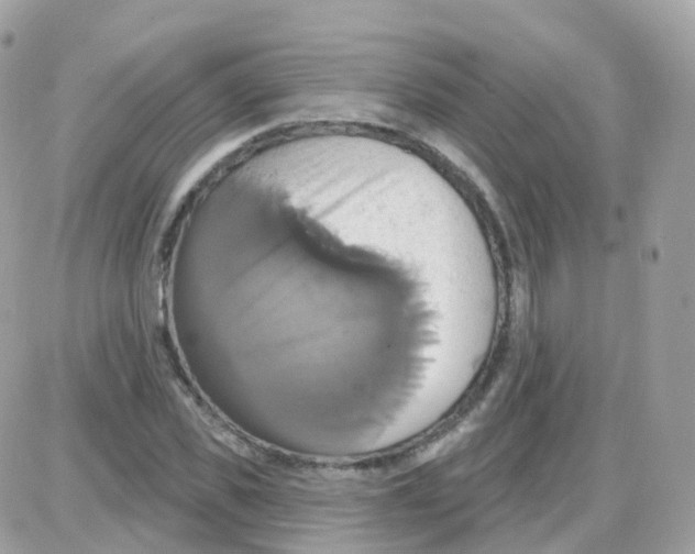 X0000087700925200706011741