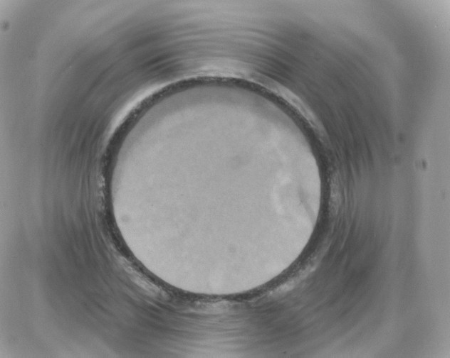 X0000087700926200706011741