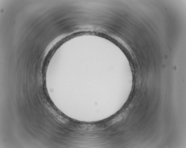 X0000087700927200706011741