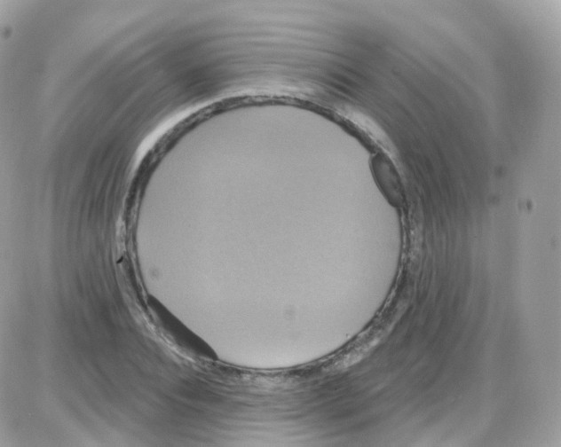 X0000087700928200706011741