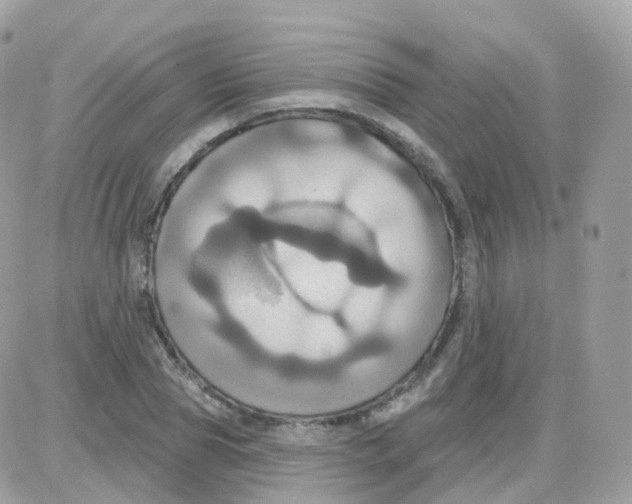 X0000087700929200706011741