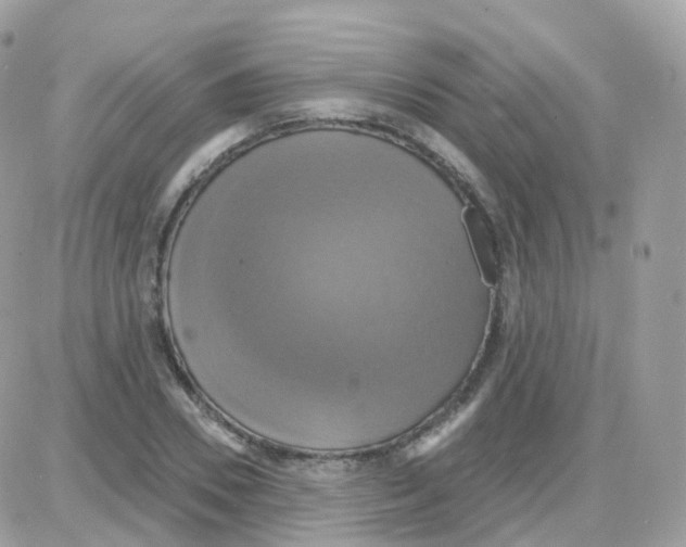 X0000087700930200706011741