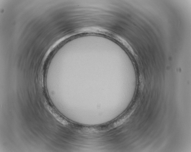 X0000087700931200706011741