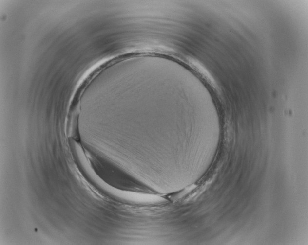 X0000087700932200706011741