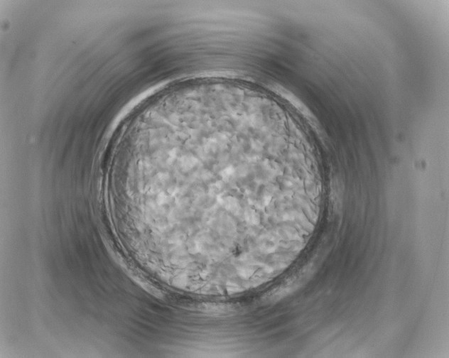 X0000087700933200706011741