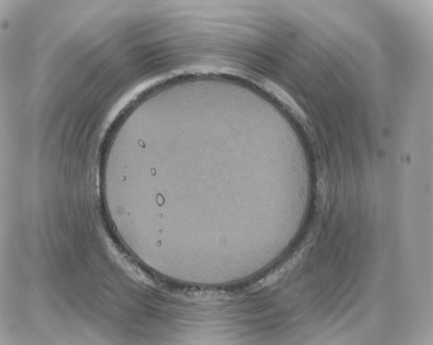 X0000087700934200706011741