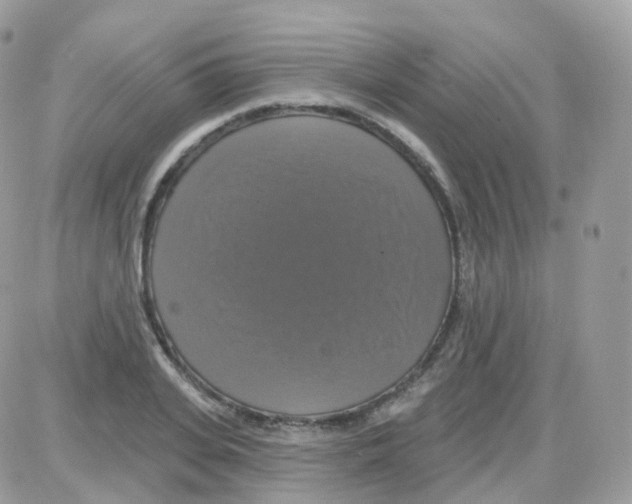 X0000087700935200706011741