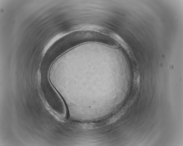 X0000087700936200706011741