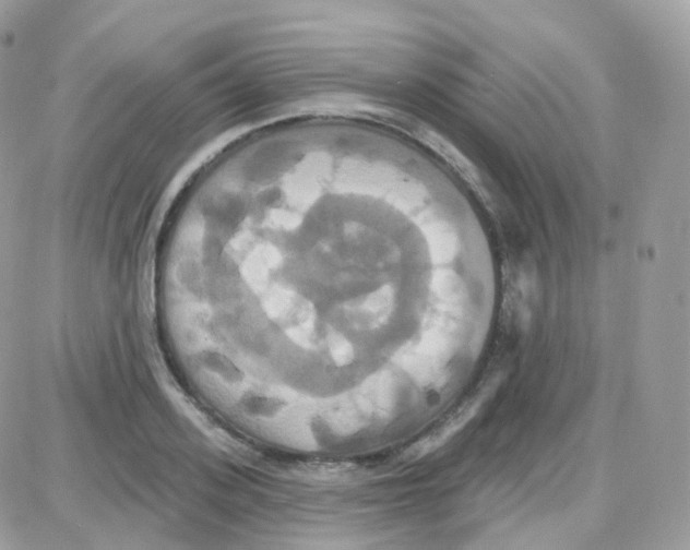 X0000087700939200706011741